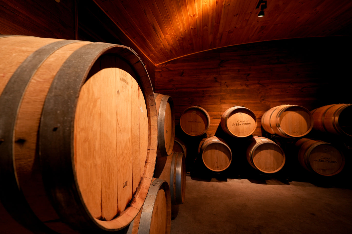 Experiencia Vino & Panes & Mas